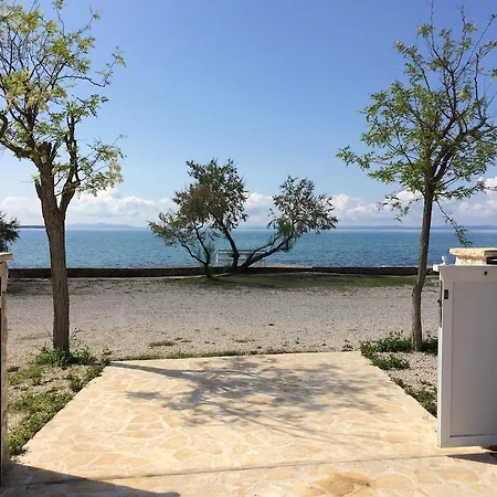 Paradise Vanesa ויר